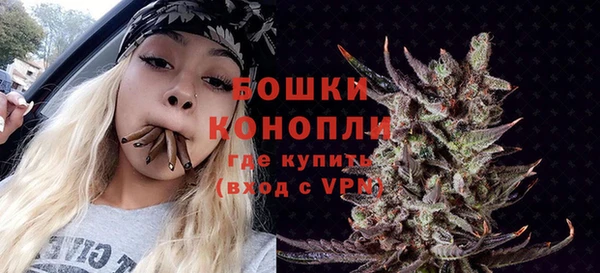 гидра Новодвинск