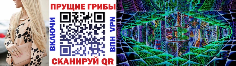 Псилоцибиновые грибы Psilocybe  Алдан 