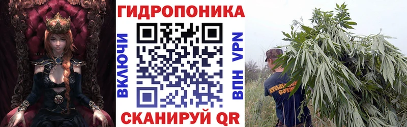 Конопля семена  Алдан 